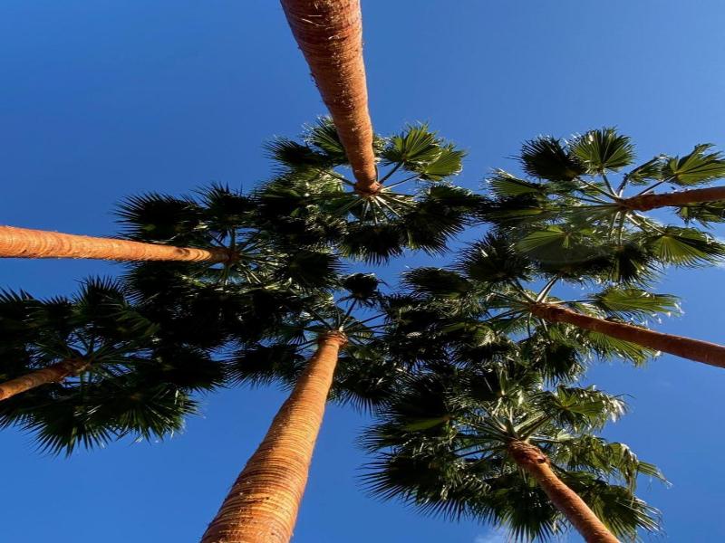 El Botanico De Sagra image