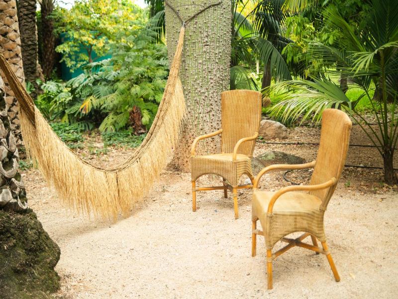 El Botanico De Sagra image