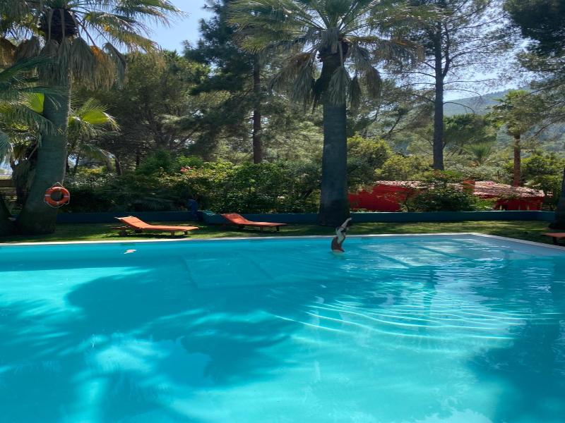 El Botanico De Sagra image