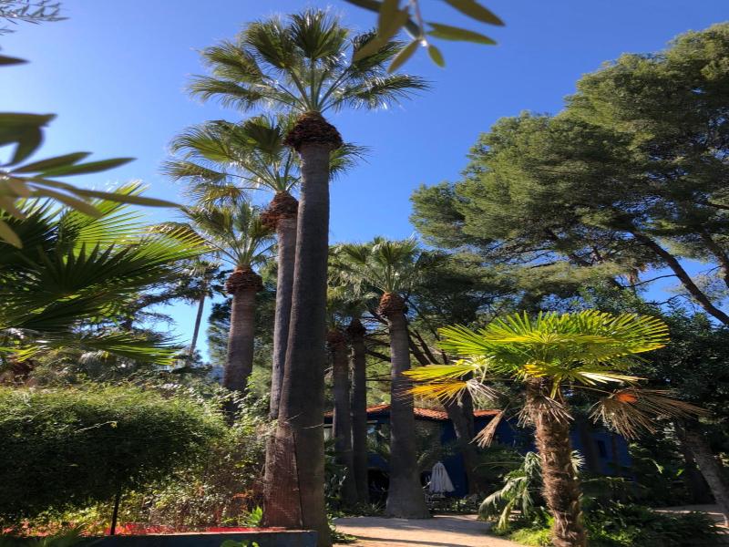El Botanico De Sagra image