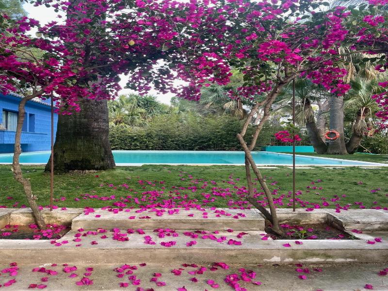 El Botanico De Sagra image