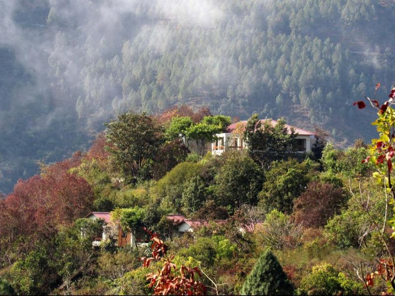 Hotel Auranya The Mystical Himalayan — photo 8