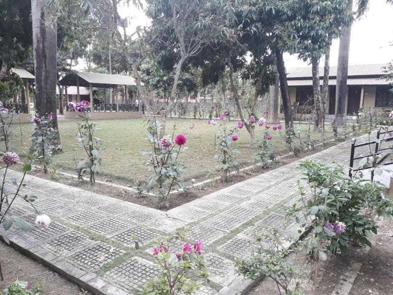 Tiger Residency Resort image