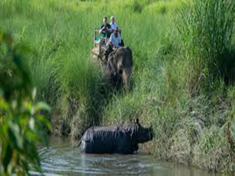 Tiger Residency Resort image
