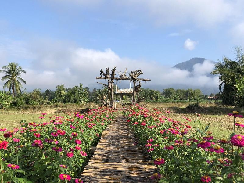 Hinpha Homestay