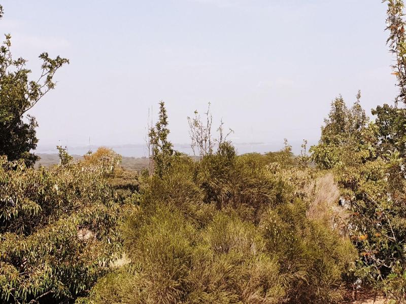 Merinja Guesthouse