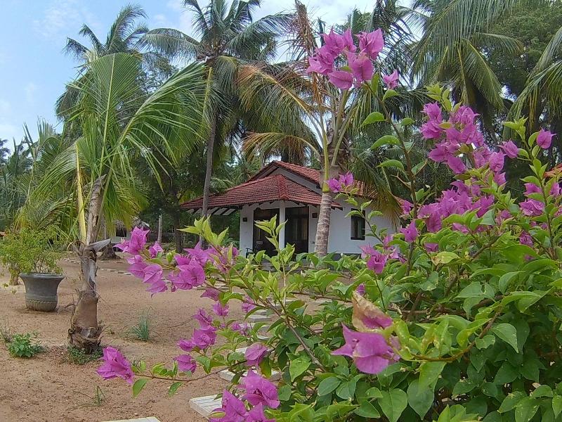 Chillenjoy Cabanas Restaurant