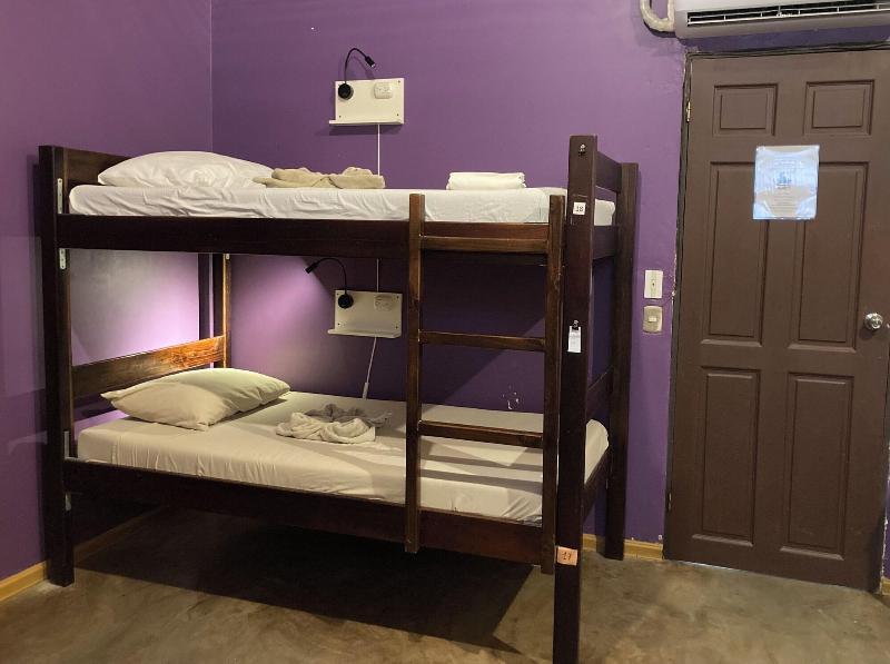 Tamahostel Glamping image