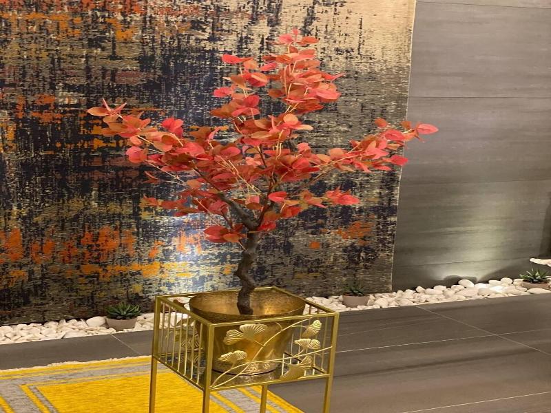 Ateca Hotel Suites image
