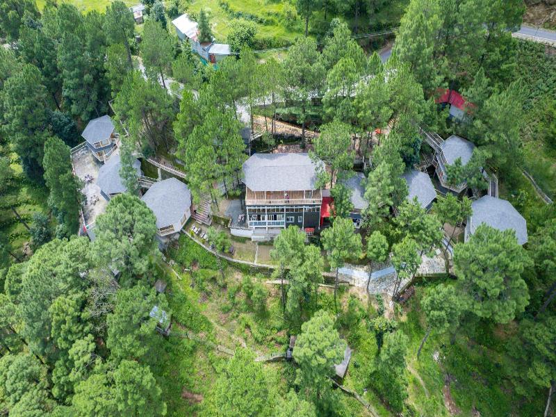 The Woods Retreat — photo 15