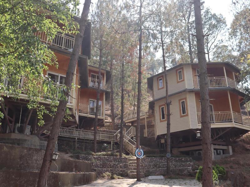 The Woods Retreat — photo 14