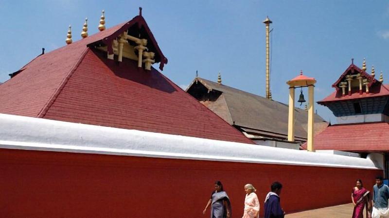 Niraamaya Retreats Samroha Athirappilly image