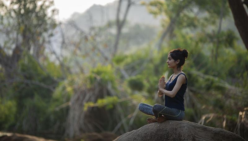 Niraamaya Retreats Samroha Athirappilly image