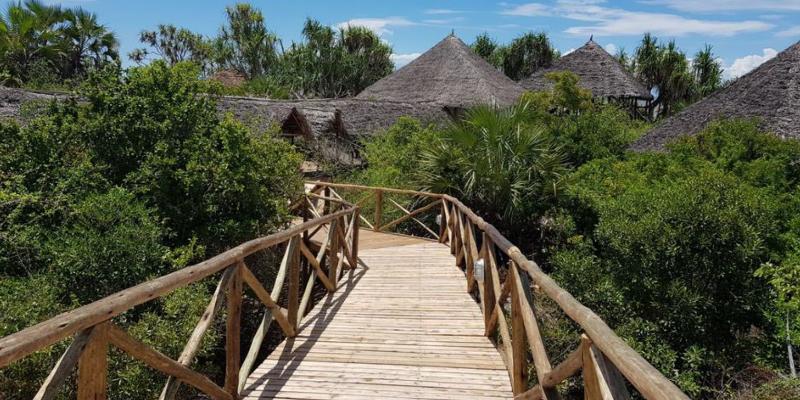 Saadani Safari Lodge image