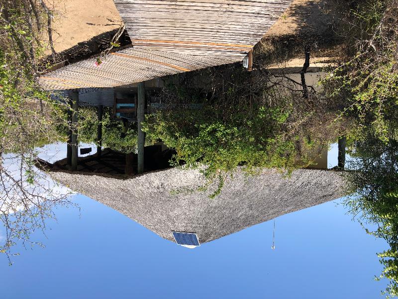 Saadani Safari Lodge image