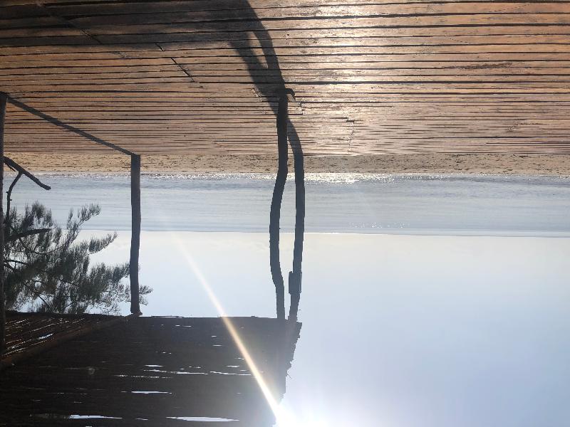 Saadani Safari Lodge image