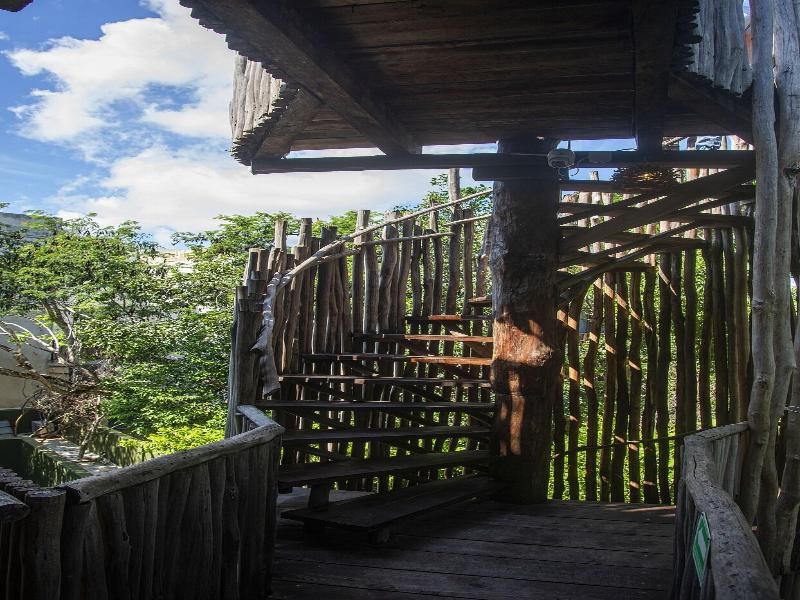 Loba Tulum image