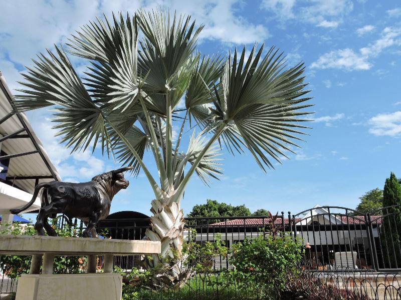 Hotel Melgar Villa Valeria