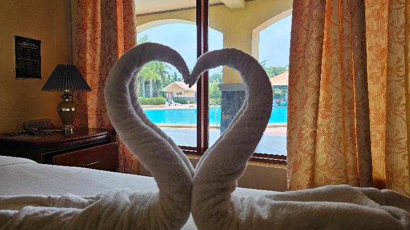 DOUBLE POOL VIEW