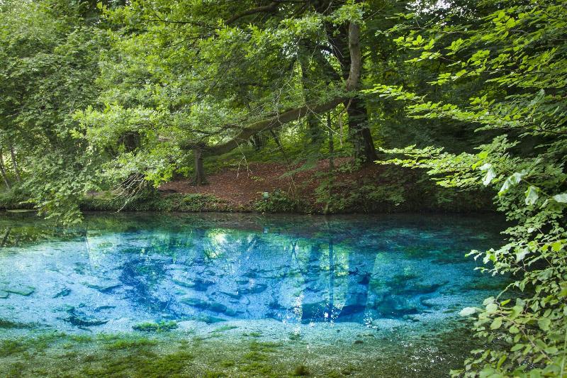 Logis Hotel la Source Bleue image