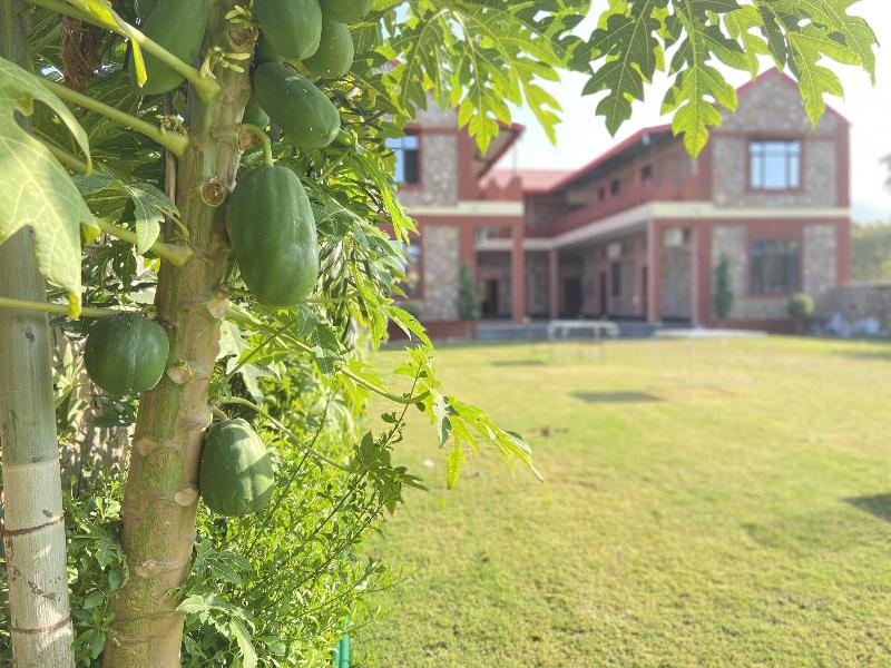 Pushkar regency resort image