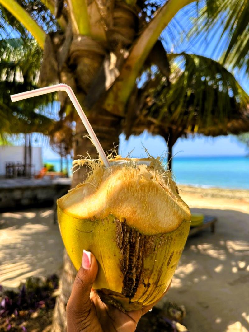 Asante Sana Beach Cottages image
