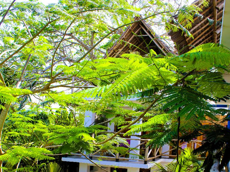 Asante Sana Beach Cottages image