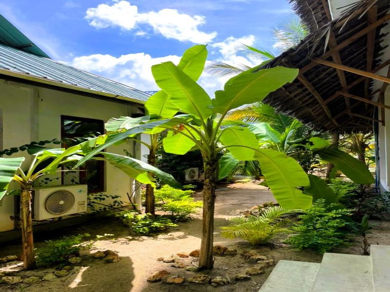 Asante Sana Beach Cottages image