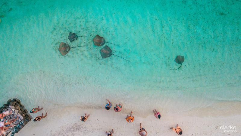 Swarn by Hawks Hotel Kamadhoo Baa Atoll image