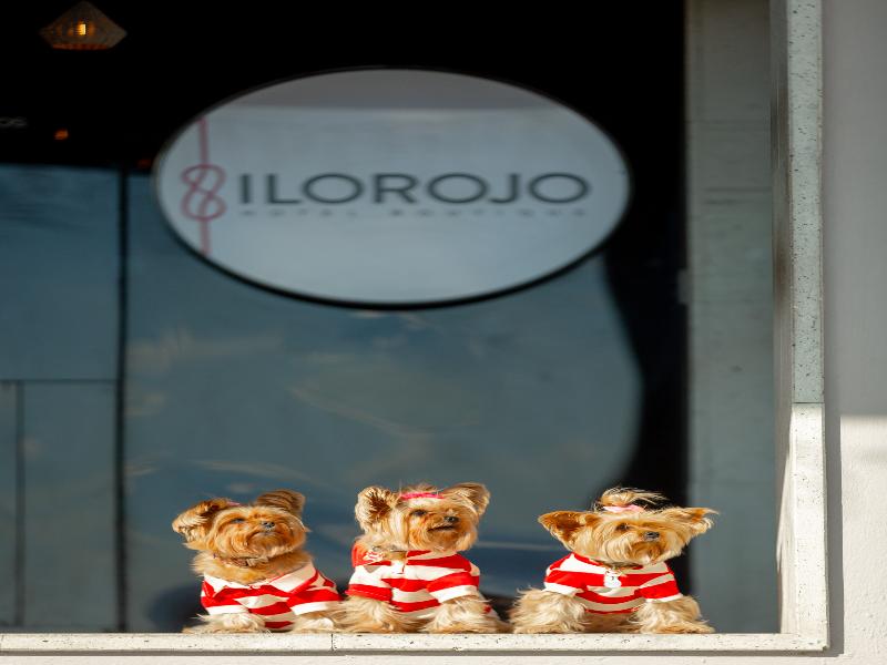 Ilo Rojo Hotel Boutique San Miguel de Allende image