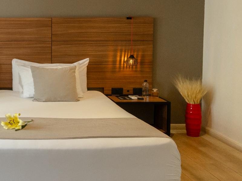 Ilo Rojo Hotel Boutique San Miguel de Allende image
