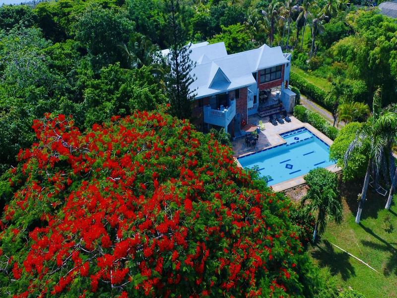 Casa de las Flores Tropical Lodge image