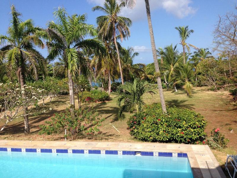 Casa de las Flores Tropical Lodge image