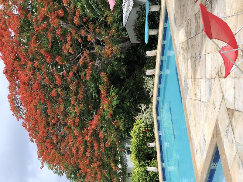 Casa de las Flores Tropical Lodge image