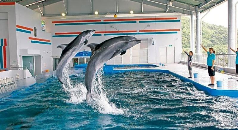 Daikoku Resort Hotel - Image 8