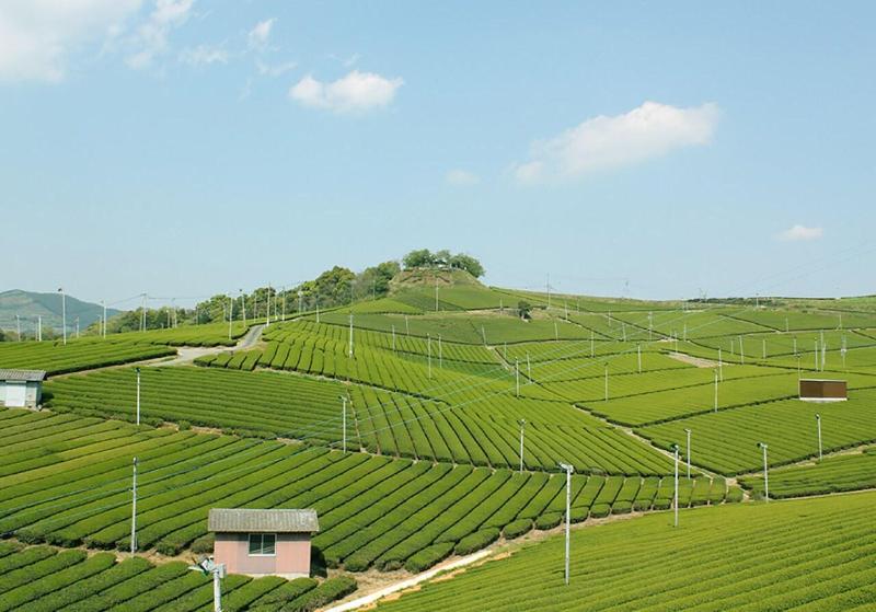 Ike No Yamaso - Image 4