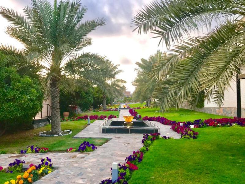 The View Oman image