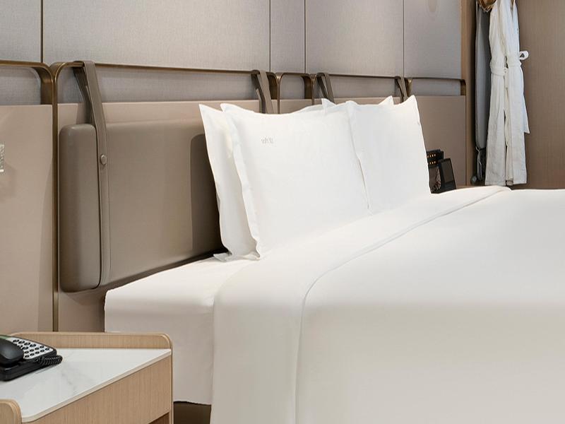 Holiday Inn Changsha Malanshan image