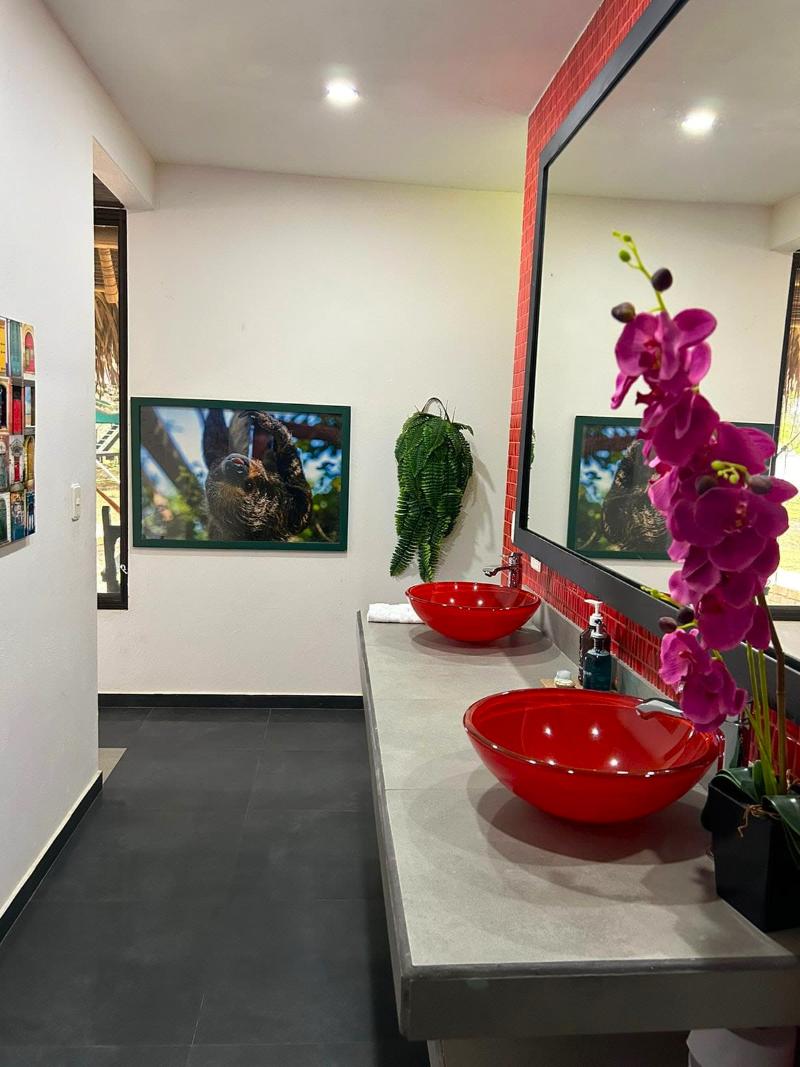 Hato San Pablo image