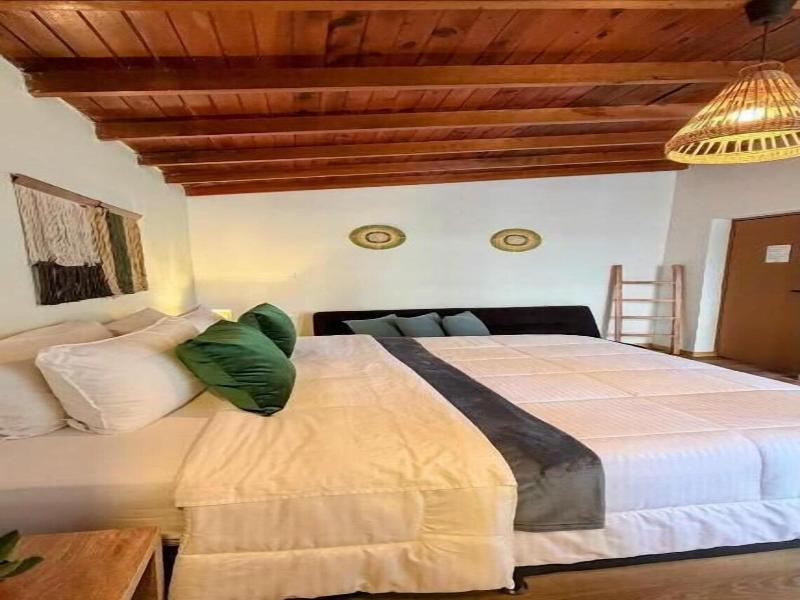 luum guest house image