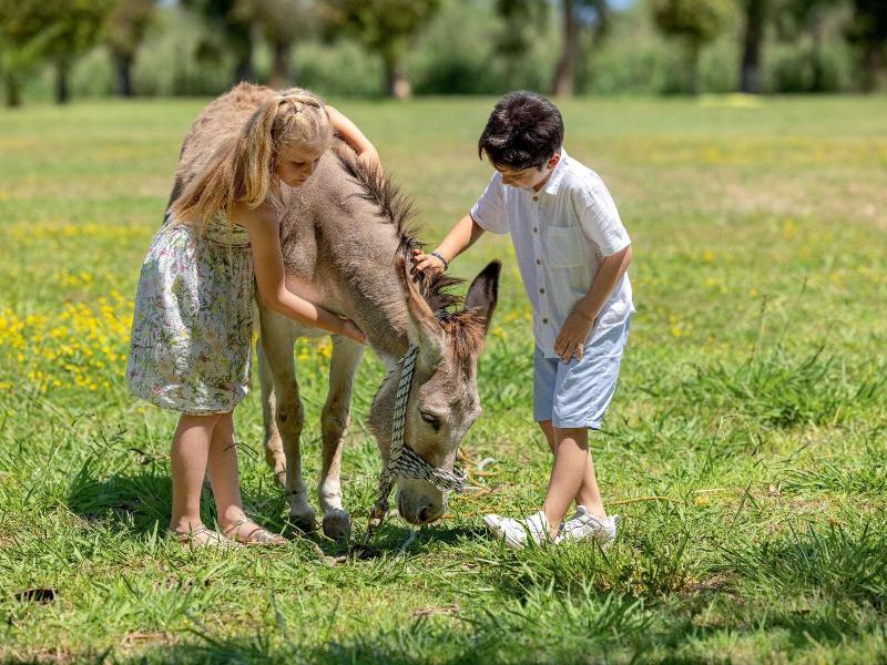 Grecotel LUXME Costa Botanica image