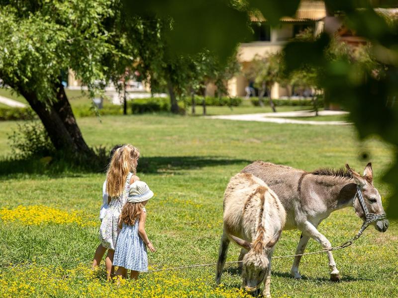 Grecotel LUXME Costa Botanica image