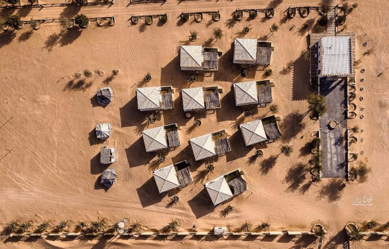 Golden Palm Oasis