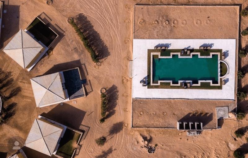 Golden Palm Oasis 2