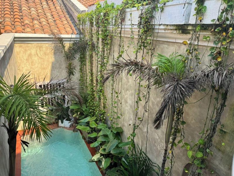 Moet Casa Heredia image