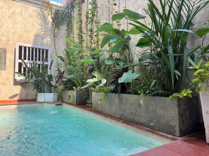 Moet Casa Heredia image