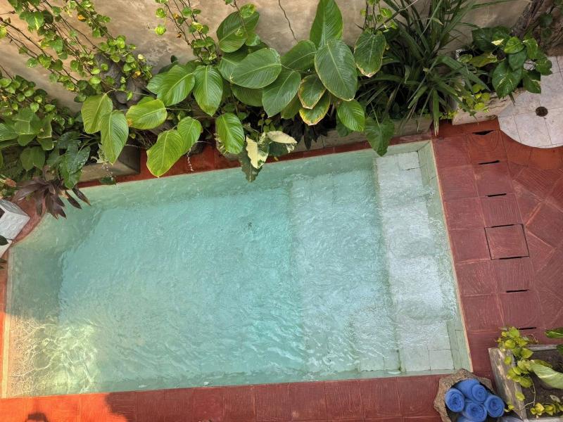 Moet Casa Heredia image
