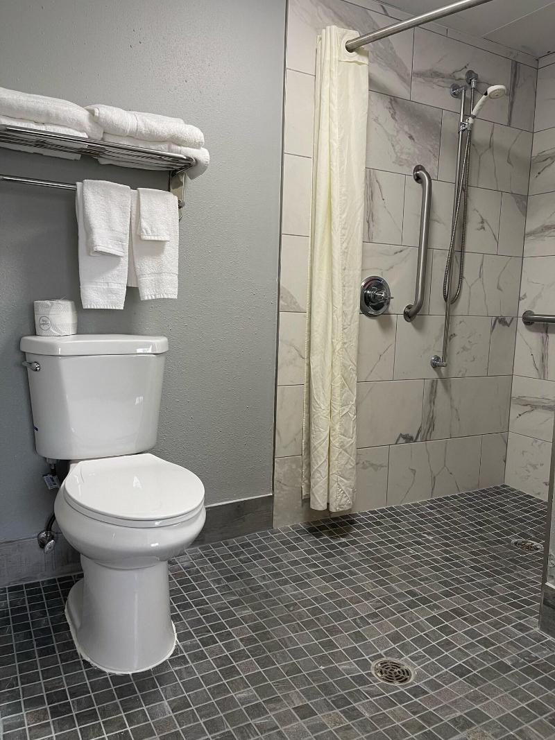 Americinn By Wyndham Ladysmith image