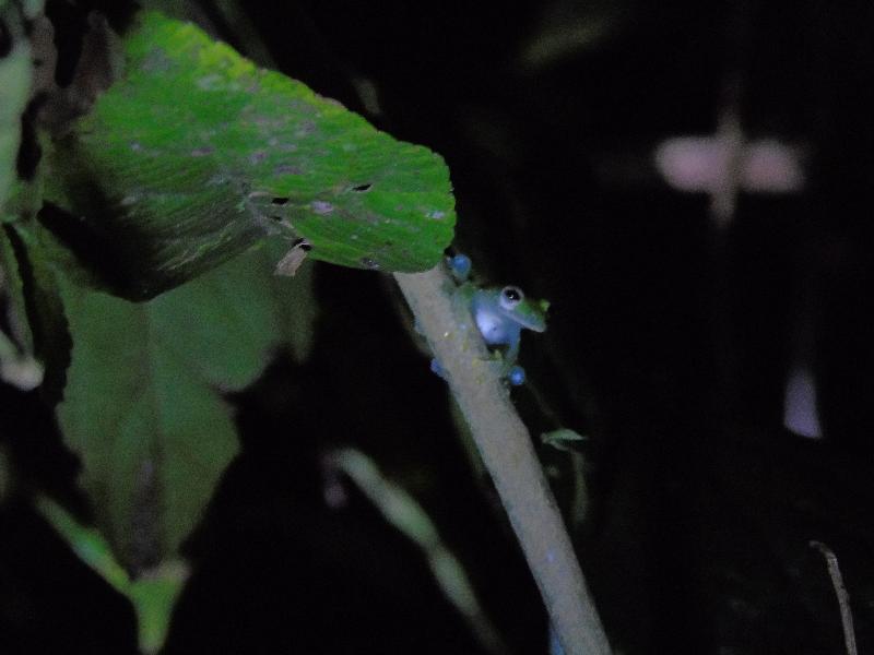 Rioagujitasecofarm And Tours 5