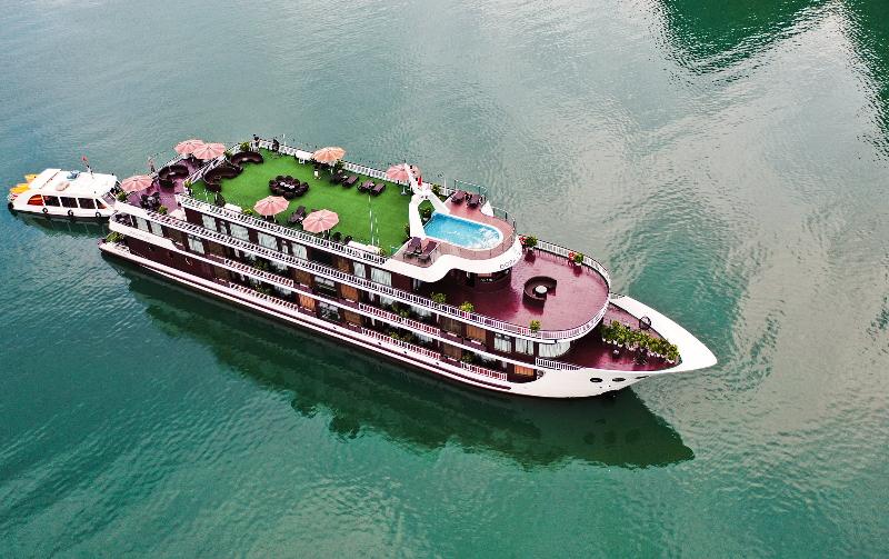 Dora Cruise 4